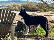 IMG_5276 (3)