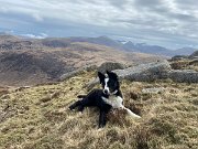 IMG_5281