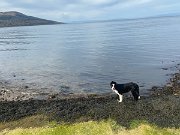 IMG_5289