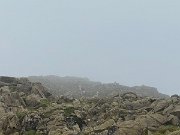 IMG_9749