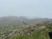 IMG_9751