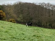 IMG_4958
