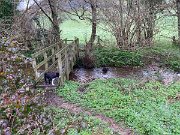 IMG_4964
