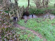 IMG_4966