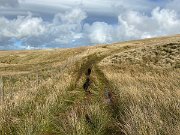 IMG_4972