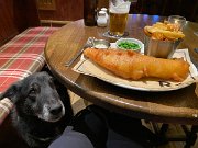 IMG_4903