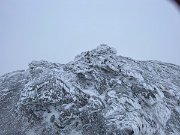 IMG_4934