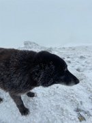 IMG_4939