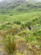 IMG_9790
