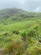 IMG_9791