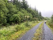 IMG_9797