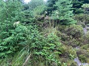 IMG_9799