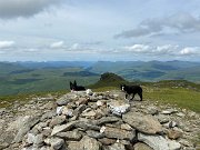 IMG_9813
