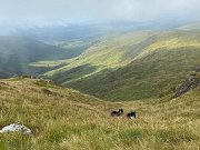 IMG_9914