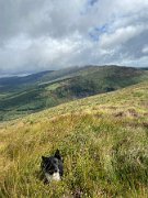 IMG_9929