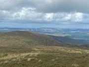 IMG_9938