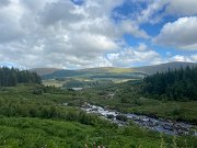 IMG_9948