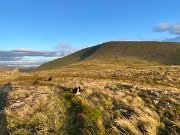 IMG_9959