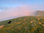 IMG_9965