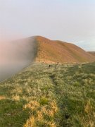 IMG_9971