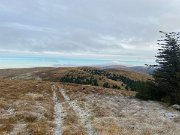 IMG_6800