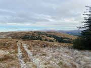 IMG_6801