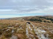 IMG_6804