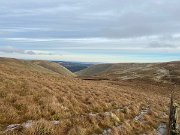 IMG_6807