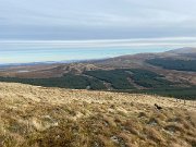 IMG_6809