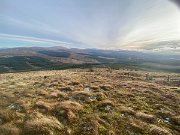 IMG_6811