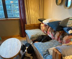 Nov - Family trip south