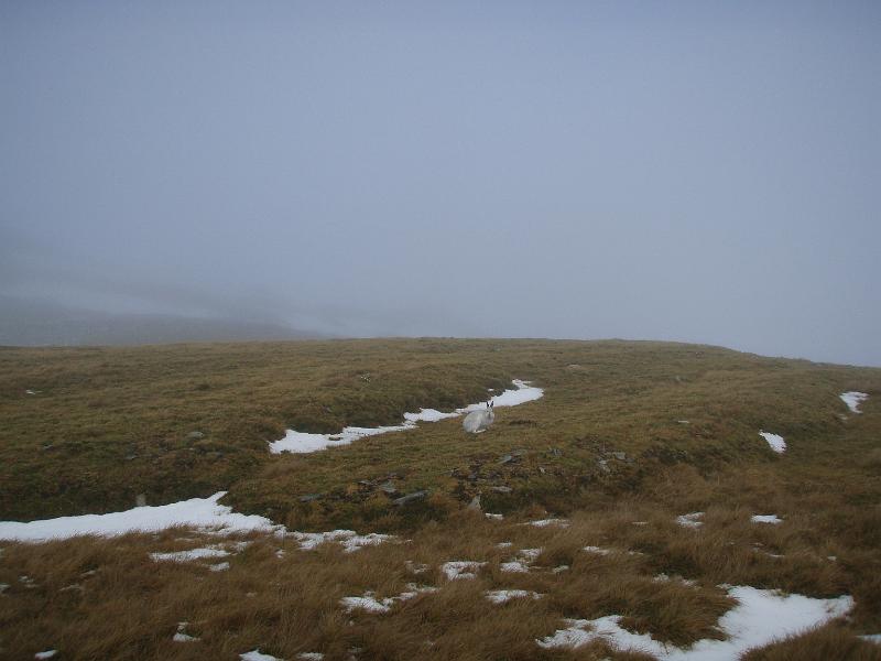 PC010431.JPG