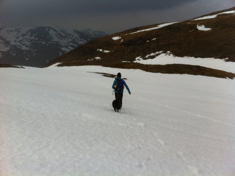 Recce April 18 (31).JPG