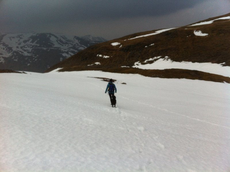 Recce April 18 (32).JPG