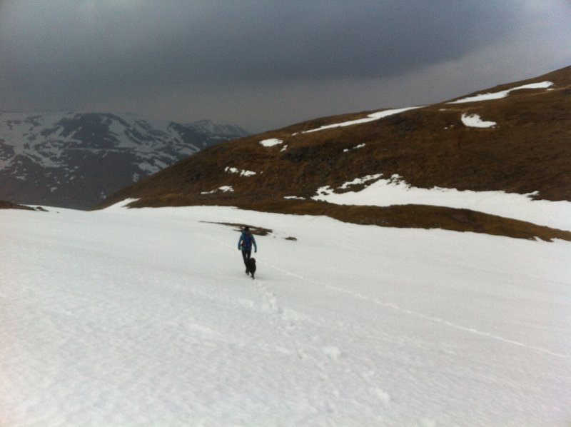 Recce April 18 (33).JPG