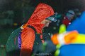 Cheviot Goat b (5)
