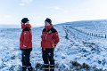 Cheviot Goat c (5)