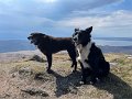 Arran (4)