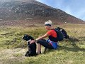 Arran