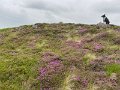 Bruce Crown Recce (3)