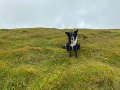 IMG_0945