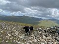 IMG_0951