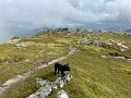 IMG_0958