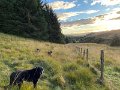 IMG_1112