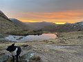IMG_1800