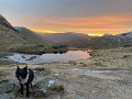 IMG_1801