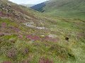 IMG_1805