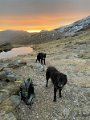 IMG_1806