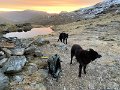 IMG_1807