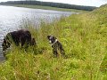 IMG_1825